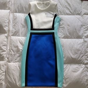Calvin Klein Size 4 Bodycon Dress